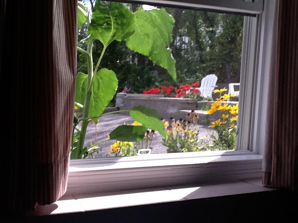 Josephine'S On The Bay Bed And Breakfast Hull Zewnętrze zdjęcie